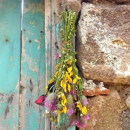 Bed & Breakfast Terra Zoe Sokakagzi