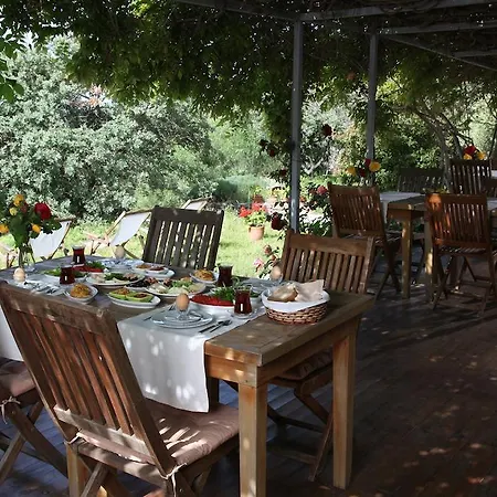 Terra Zoe * Sokakagzi