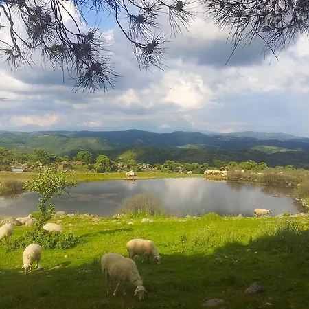 Bed & Breakfast Terra Zoe