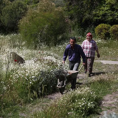 Bed & Breakfast Terra Zoe