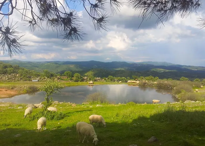 Bed & Breakfast Terra Zoe