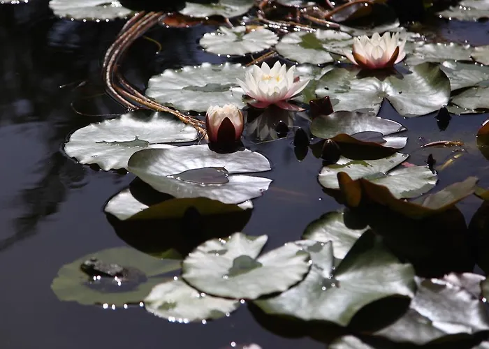 Bed & Breakfast Terra Zoe *