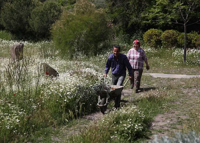 Bed & Breakfast Terra Zoe